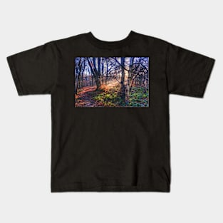 Autumn in Epping Forest Kids T-Shirt